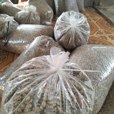 kopi arabica lombok
