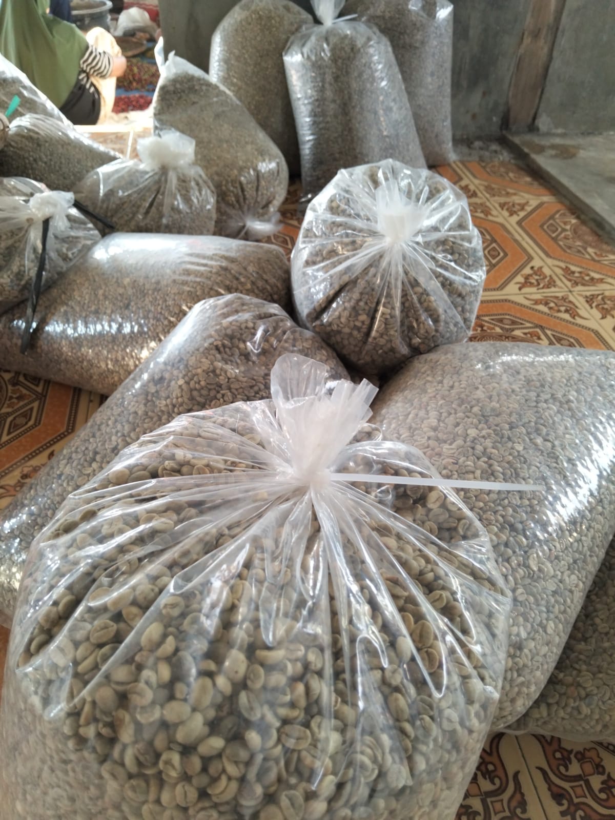 kopi arabica lombok kopi arabica lombok